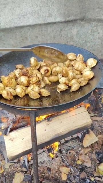 Жаренные пельмени на содже