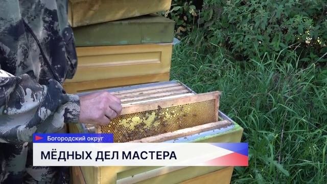 В Нижегородской области пчеловоды развивают бизнес благодаря грантам проекта Агростартап