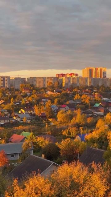 #iPhone #iphone11pro #iphone11photo #photo #lightroom #алтайскийкрай #барнаул #altaikrai #Barnaul