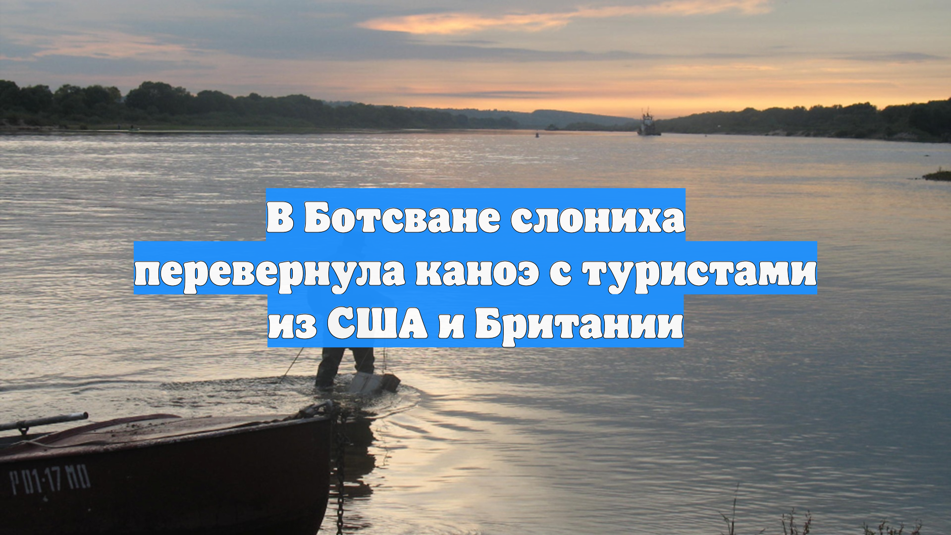 В Ботсване слониха перевернула каноэ с туристами из США и Британии