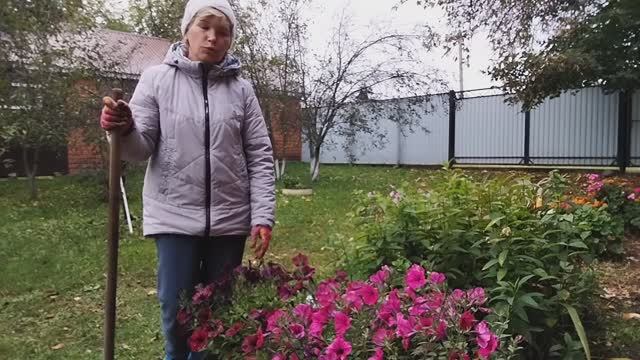 ИЗ ГОРОДА В ДЕРЕВНЮ.Хроника дня.