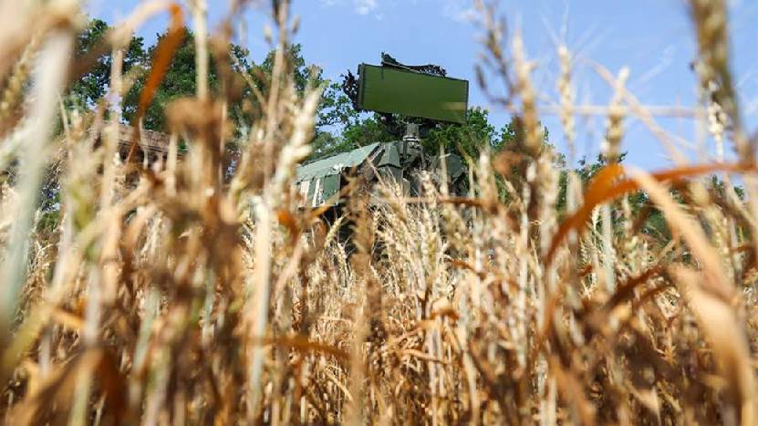 Силы ПВО сбили 14 украинских беспилотников над Белгородской и Курской областями