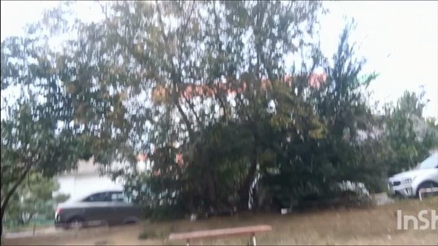 Орëм на качелях