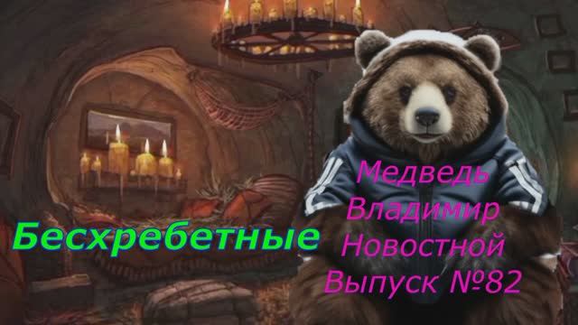 Медведь Владимир Новостной Выпуск 82 Бесхребетные