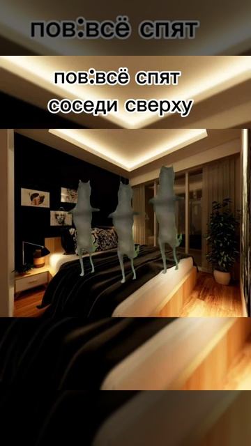 рил:все спят соседи сверху соседи юмор смешно котики ночь