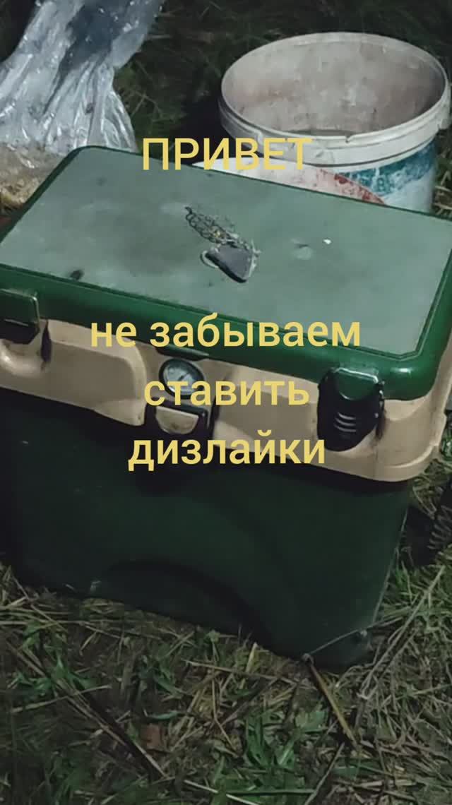 УБИЙЦА КАРАСЯ...