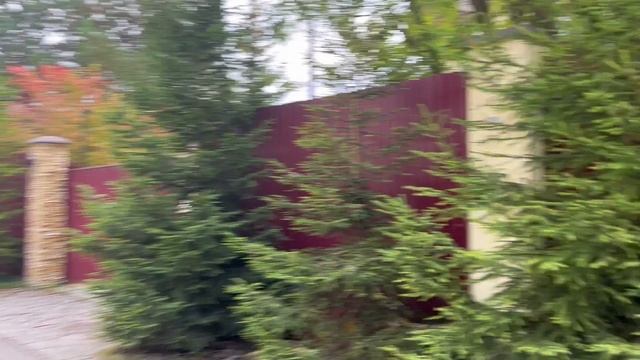 Забор проф лист столбы штукатурка