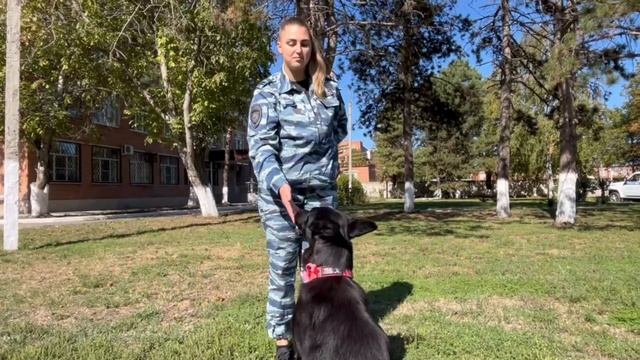 В кинологическом центре полиции Армавира уже полгода служит кинолог Александра Бутова