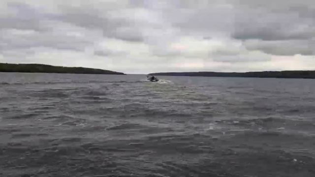 petal_20250929_145917.mp4