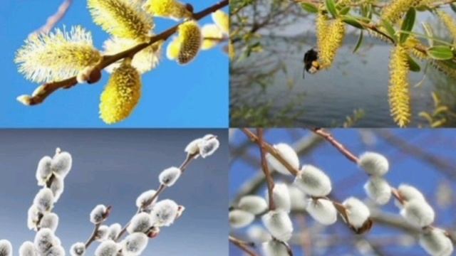 Мелодия из песни Владимира Зорина 