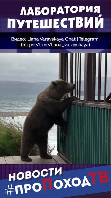 Туристы в клетке: Зоопарк наоборот в Камчатском заказнике
