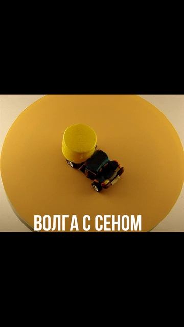 ВОЛГА С СЕНОМ
