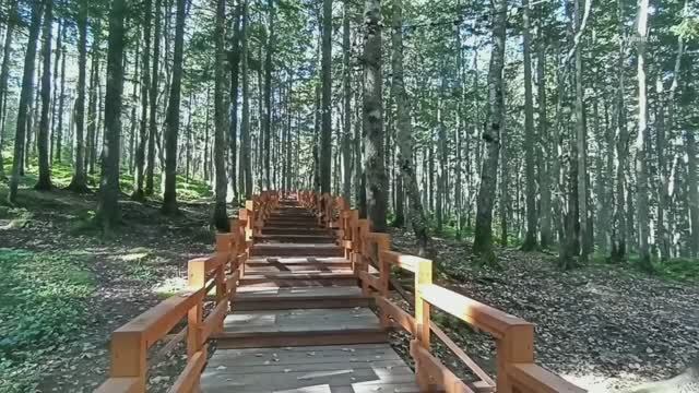 Янтарный парк в городе Долинск, остров Сахалин