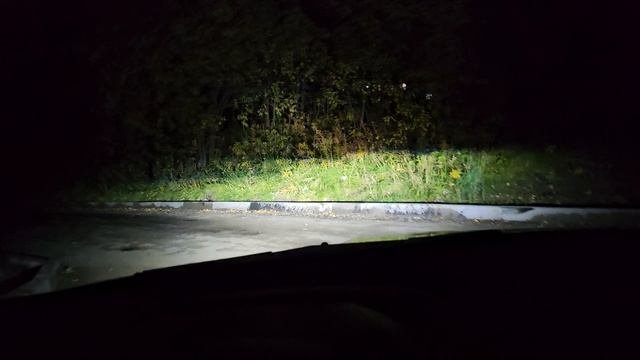 1000064485.mp4