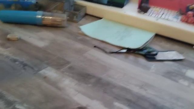 Новый дом Чудика