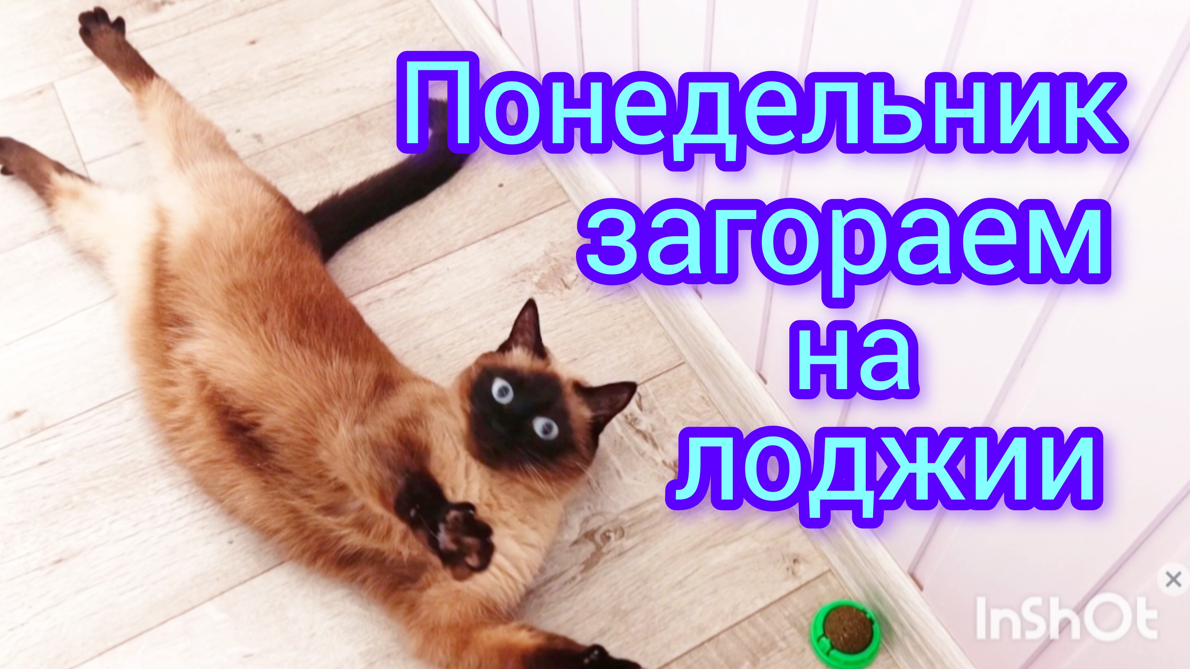 Планы🐱на🛠️неделю 29-09-2025 #влогикаждыйдень #поговорим
