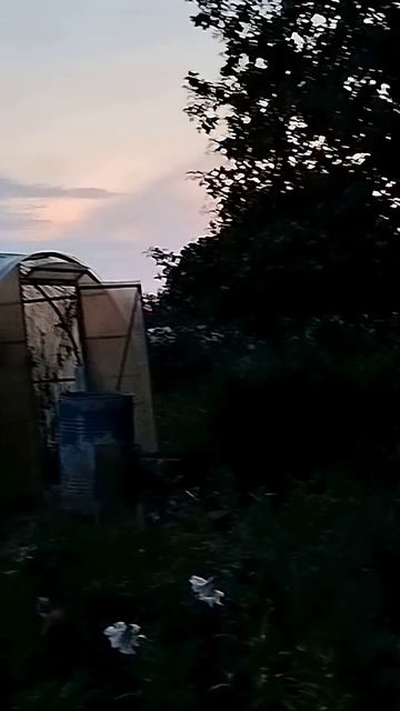 лето - осень