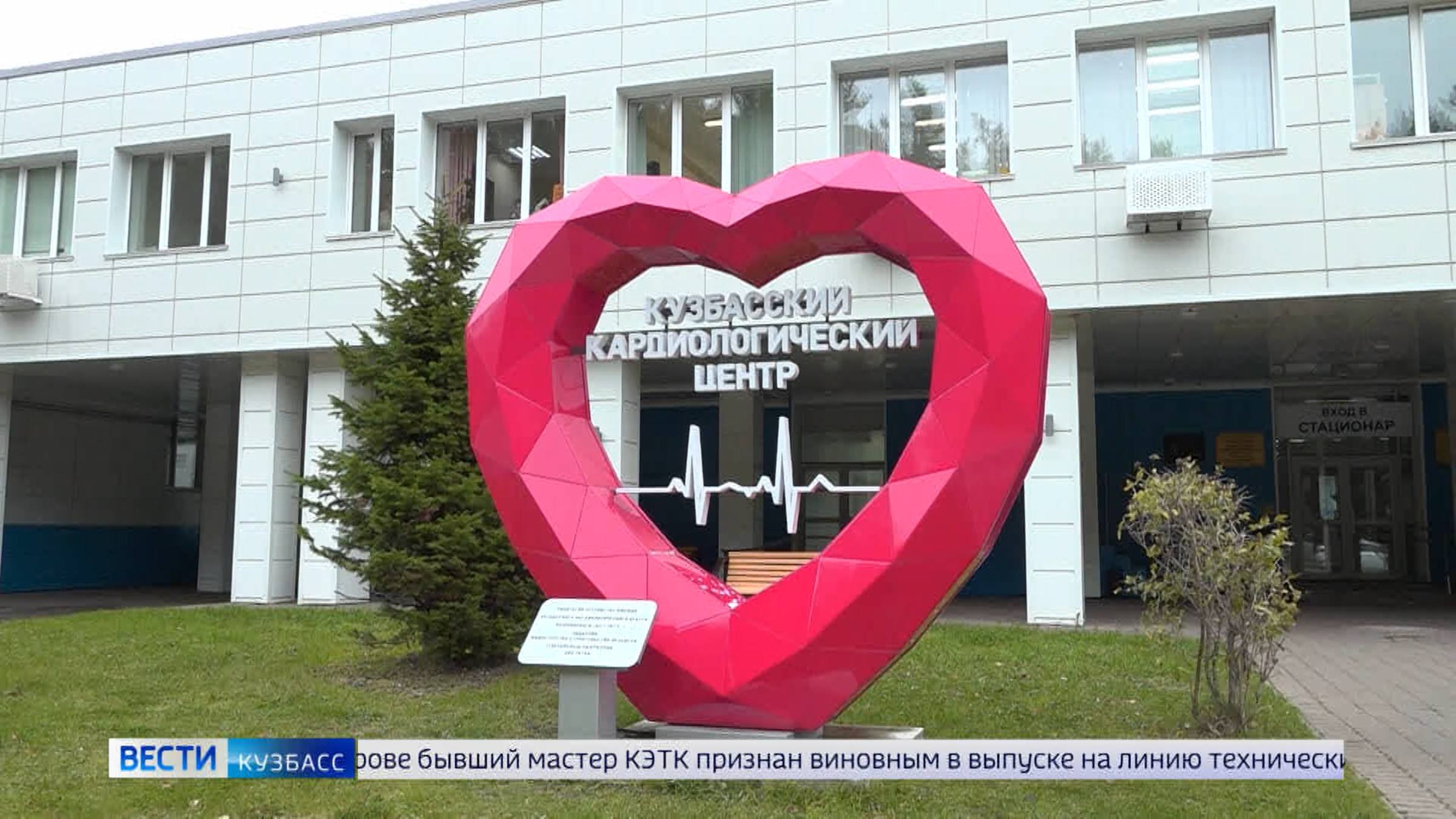 Замороженный хобот слона: кемеровские кардиохирурги начали применять уникальную технологию