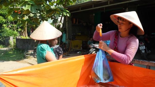 Buy A Lot Of Big Fish From Net Farmers, Use 3-Wheeled Truck Transport Many Fish Sell For Villagers