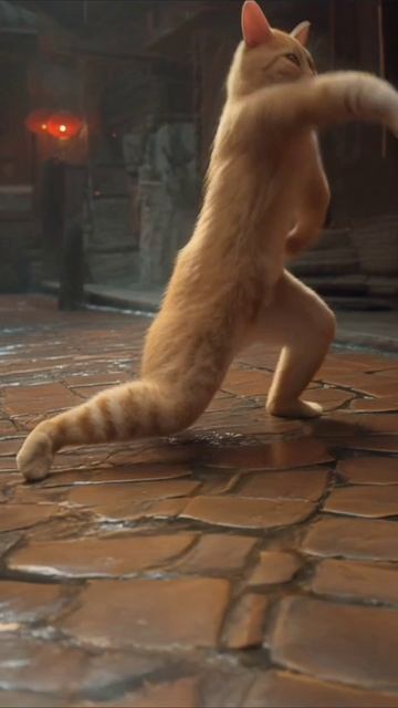 кунг-фу котэ😁
#кунгфу #кот #kungfu