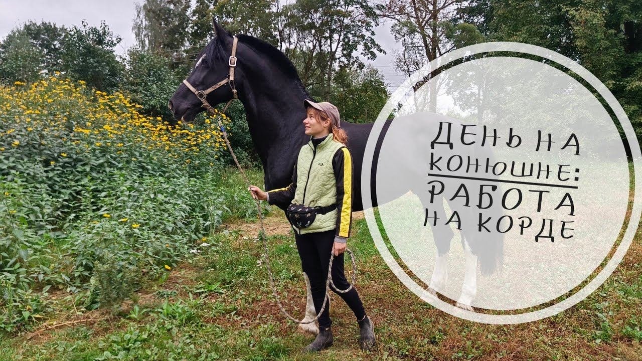 День на конюшне: работа на корде