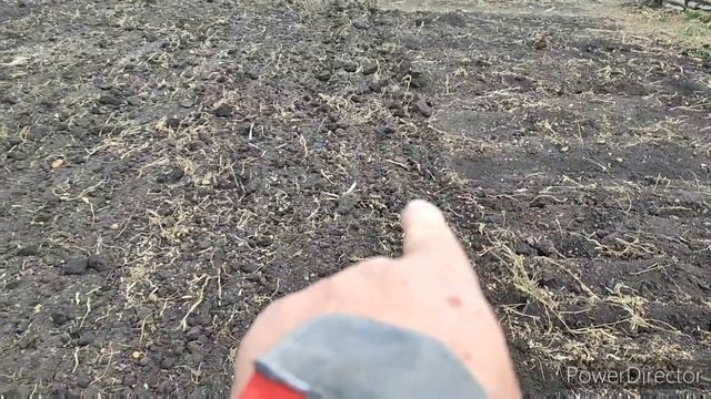 Подготовка земли к пахоте плугом мини трактором