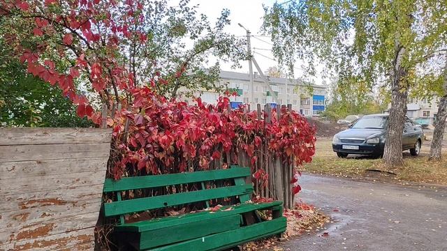 29-09-2025 дождливый день в деревне