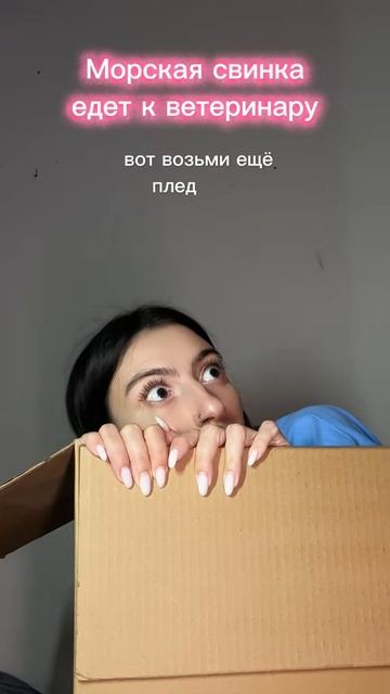 Юмор про морских свинок и не только!