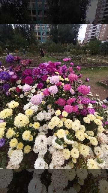 YouCut_20250929_211914453.mp4