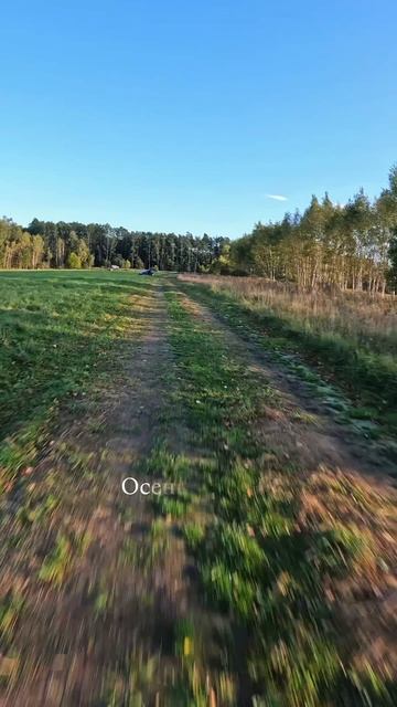 Как вам такой формат видео? 😍