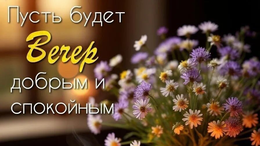 Добрый вечер♥️ Пусть вечер будет уютным и спокойным♥️♥️