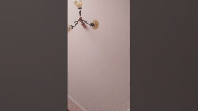 бб