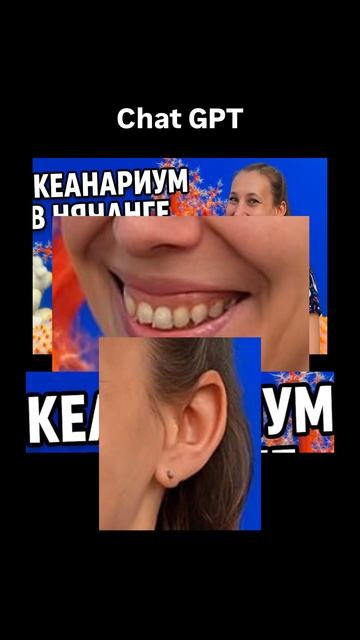 Какую берём в итоге? Не могу определиться