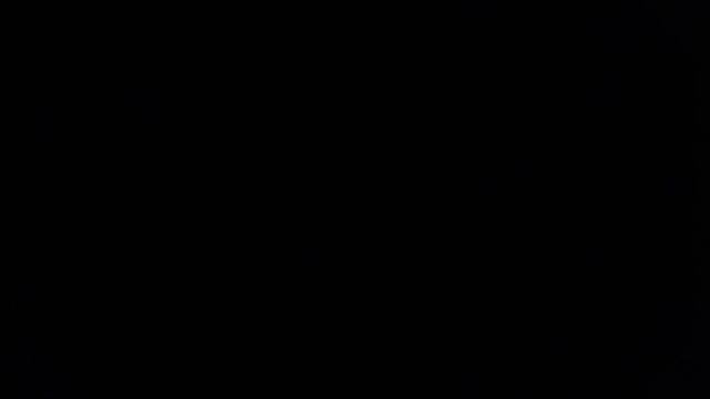 1000000248.mp4