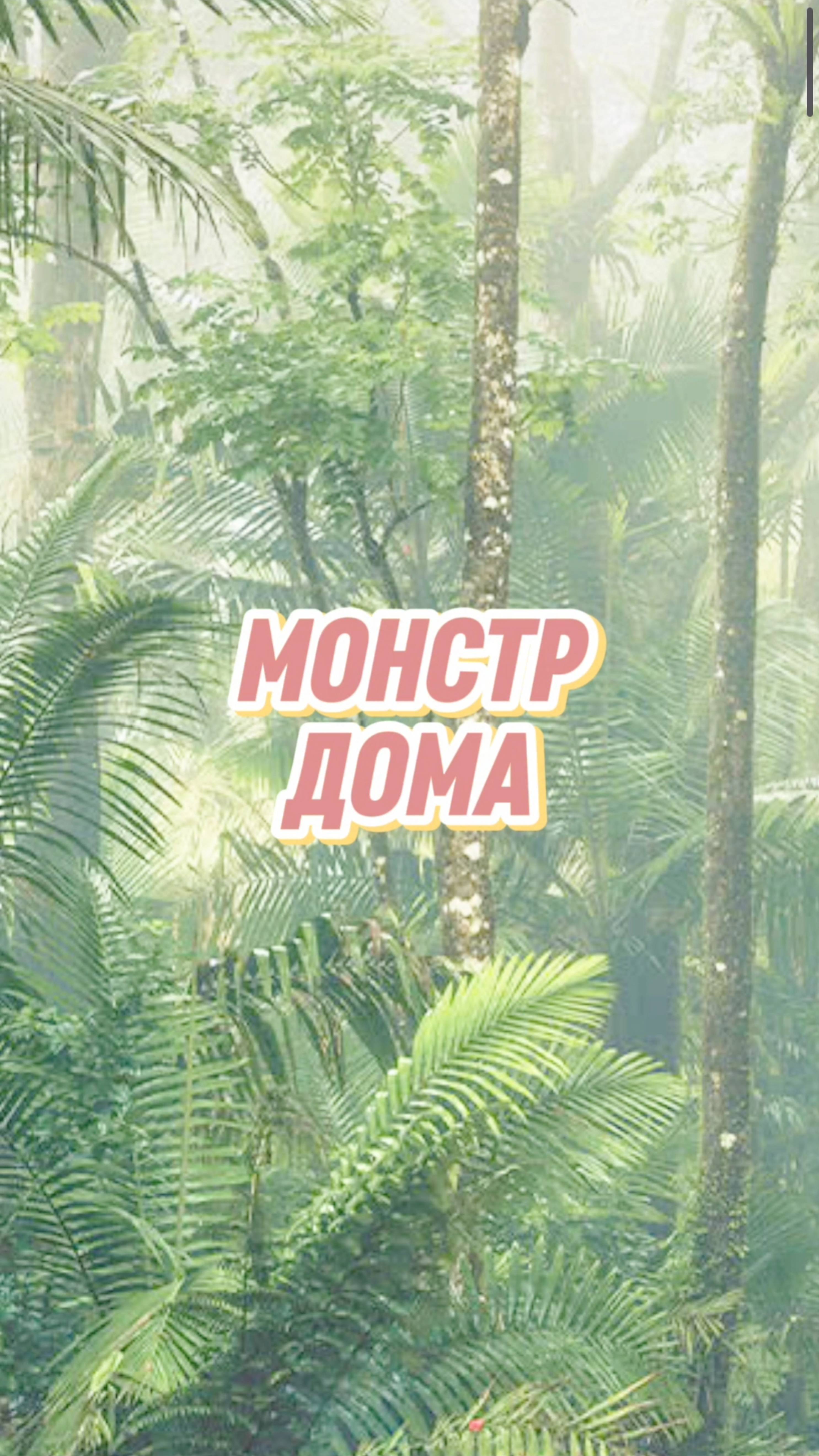 👻 Растение-убийца? Легенда о монстере