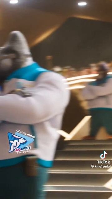 1000000428.mp4