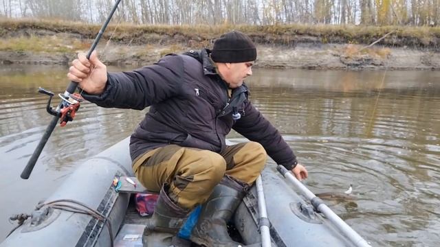 ЩУКИ СОБРАЛИСЬ В ОДНОМ МЕСТЕ