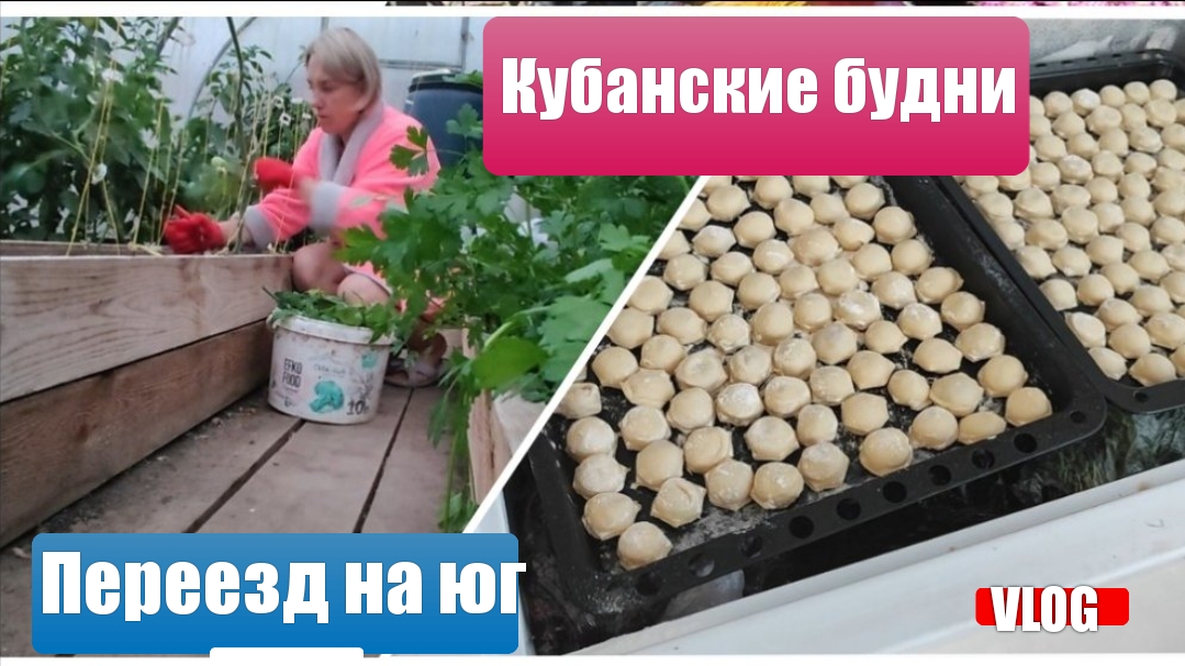 Переезд на ЮГКубанские будни нашей семьи 