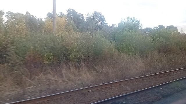 10856.mp4