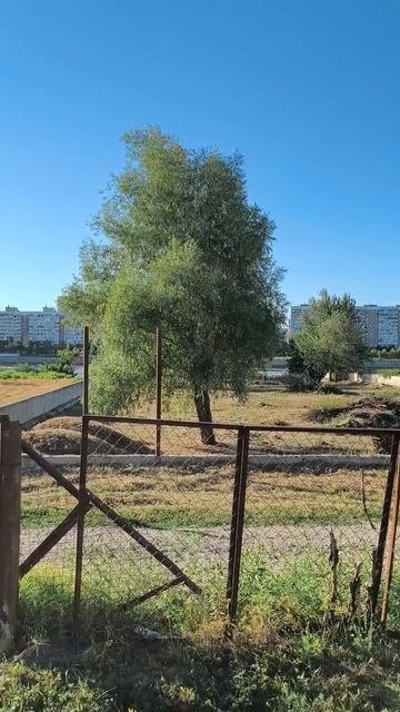 Участок с домом у реки