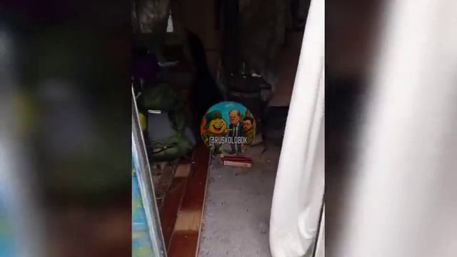 Украинка в Ирландии показала в какое 