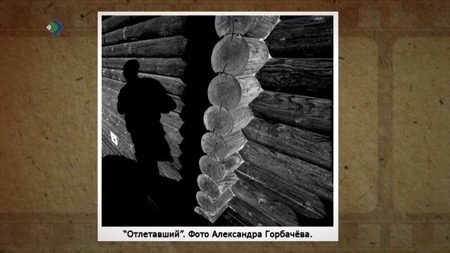 Коми инкогнито. Фотография в Коми. Часть 2. 30.09.2025