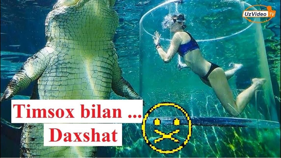 Bir marta bolsa ham suzishga arziydigan 12 ta hovuz - Dunyo gozal !!!