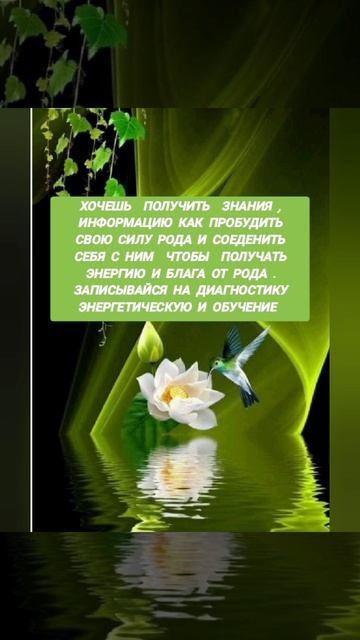 Очищение Родовой системы.