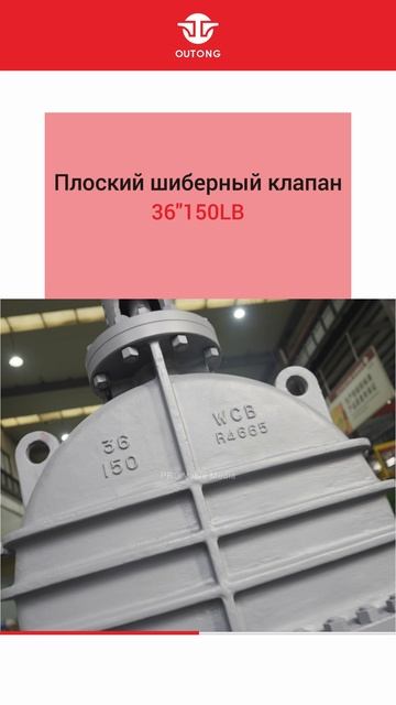 36 