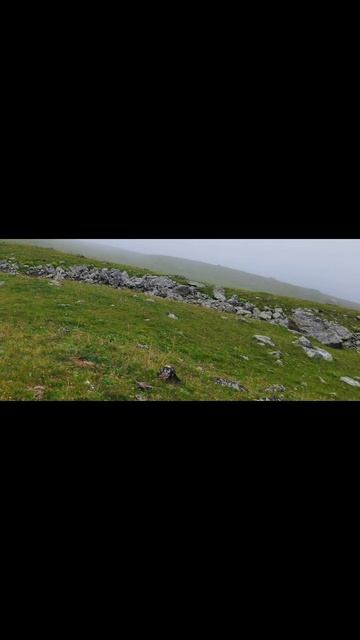 горные склоны