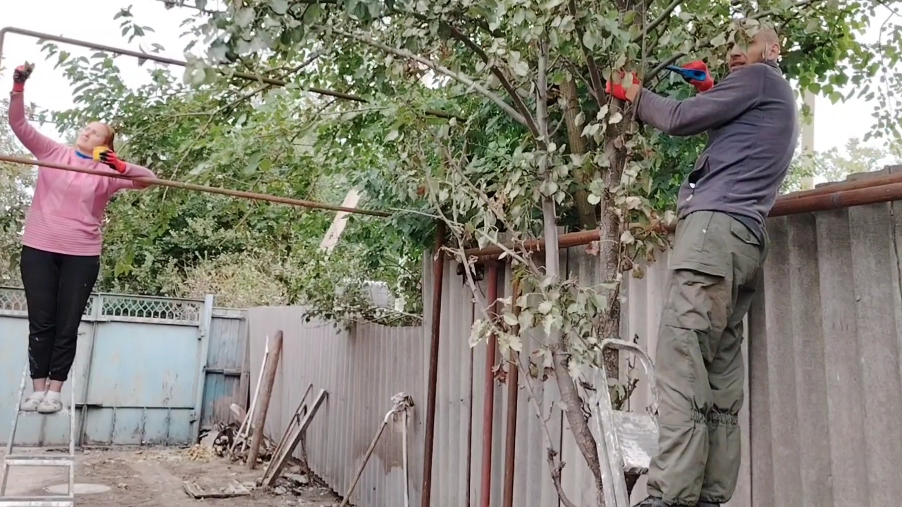 Ейск ! Подпиливаем все деревья во дворе, окраска газовых труб, работы двух дней 30-09-2025.