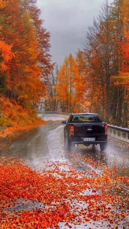 ⭐ ПРОГНОЗ НА НЕДЕЛЮ С 29.09.2025 ПО 05.10.2025 ⭐ Контакты Floransia@yandex.ru