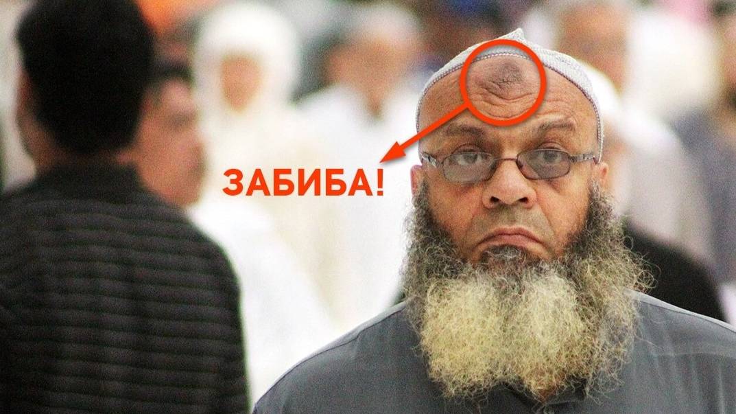 Что такое забиба. Или заставь дурака богу молиться он весь лоб расшибет.