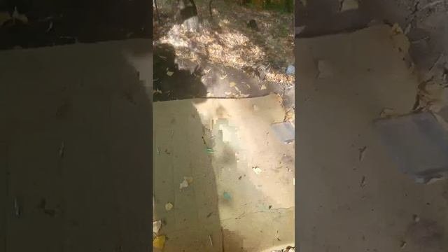 привет помогаю безродным